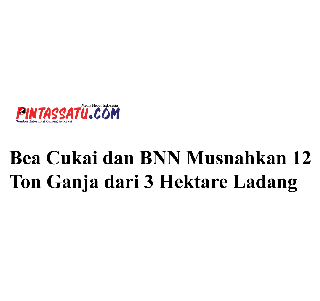 Bea Cukai dan BNN Musnahkan 12 Ton Ganja dari 3 Hektare Ladang di Aceh Besar