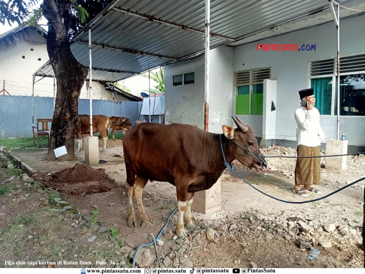 webpic2